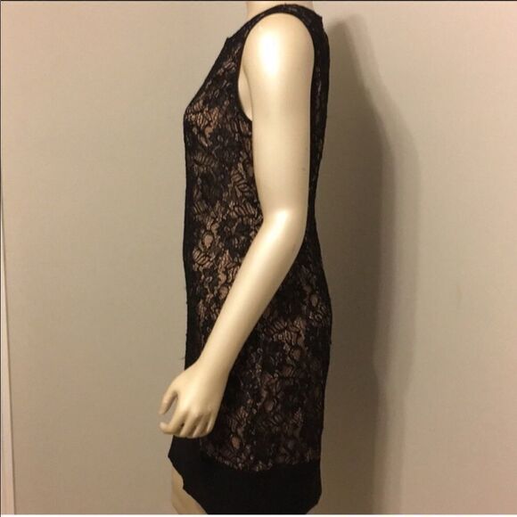 Cache lace dress  - Picture 6 of 11